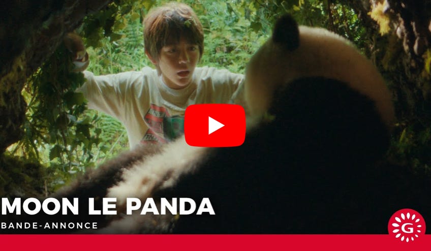 Vidéo Lire la vidéo